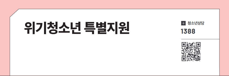 위기청소년 특별지원