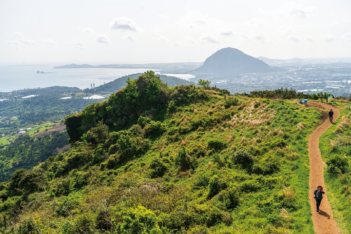 제주올레 9코스에 있는 군산오름에 오르면 송악산 일대의 오름과 산방산, 제주 남쪽바다가 한눈에 내려다보인다. 사진 C영상미디어
