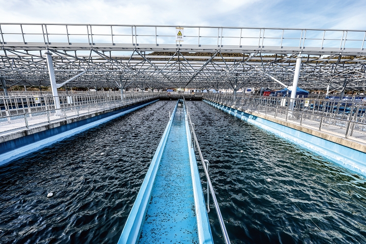 화성정수장 응집침전지 전경. 해당 공정에서는 물속에 함유된 각종 부유물질을 응집&middot;침전시켜 깨끗한 물을 여과지로 보낸다. 사진 C영상미디어