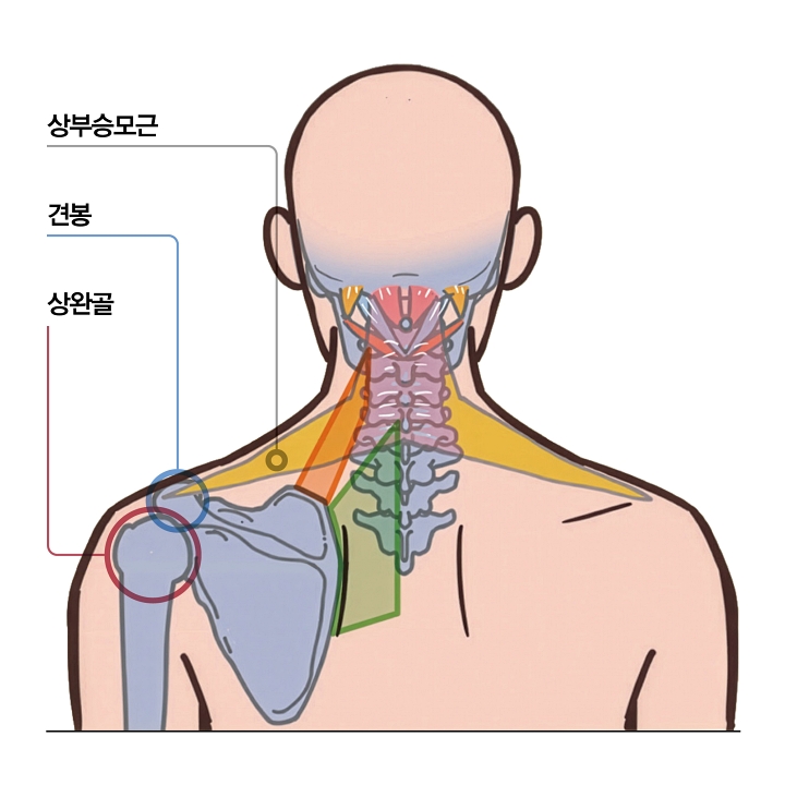 근부자연구소