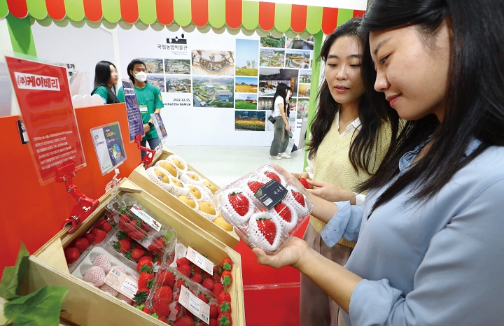 서울 서초구 aT센터에서 열린 ‘대한민국 농업박람회’ K-푸드관에서 관람객들이 수출용 딸기 모형을 살펴보고 있다. 사진 뉴시스