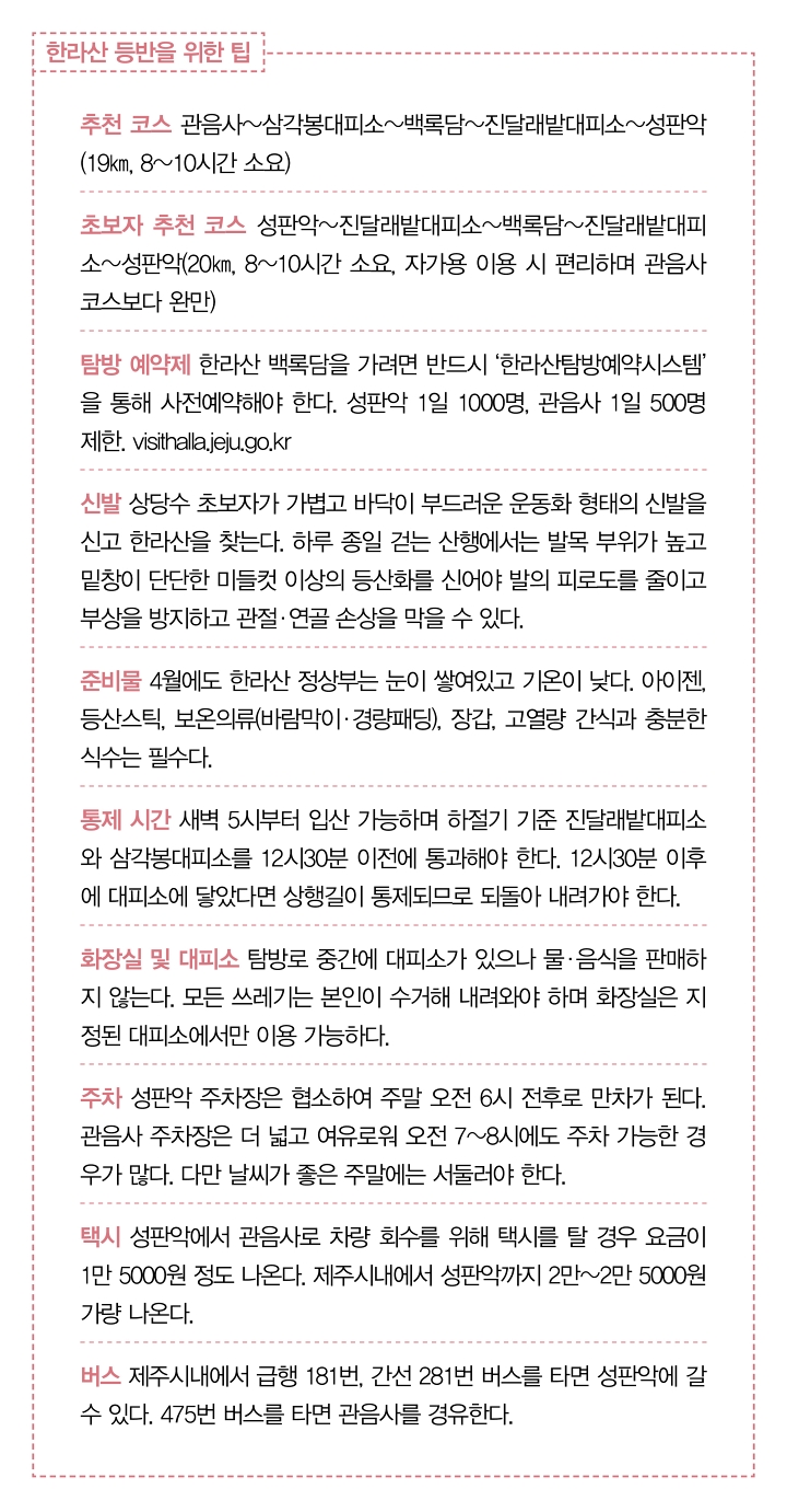 한라산 등반을 위한 팁