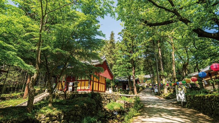 지리산 화개동천 중심에 자리한 경남 하동군 쌍계사는 통일신라 때 창건돼 내려온 천년 고찰로 국보 &lsquo;진감선사탑비&rsquo; 등 불교 유산을 품고 있다. 사진 한국관광공사