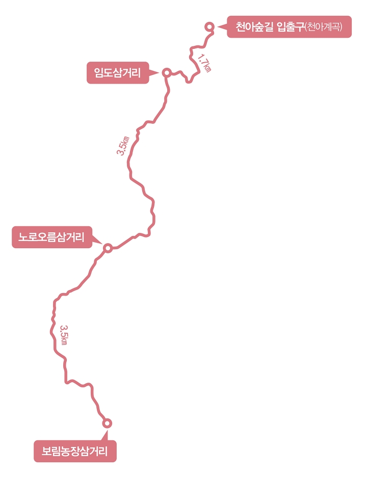 한라산둘레길 천아숲길