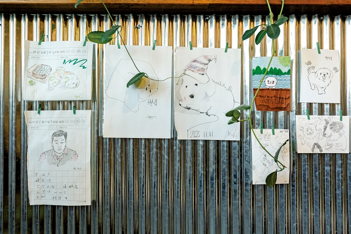 방문객들이 그린 ‘빵식이’ 그림. ‘동물책방 정글핌피’에서는 유기동물 임시보호 상담을 받을 수 있다.