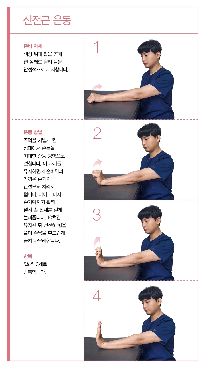 신전근 운동