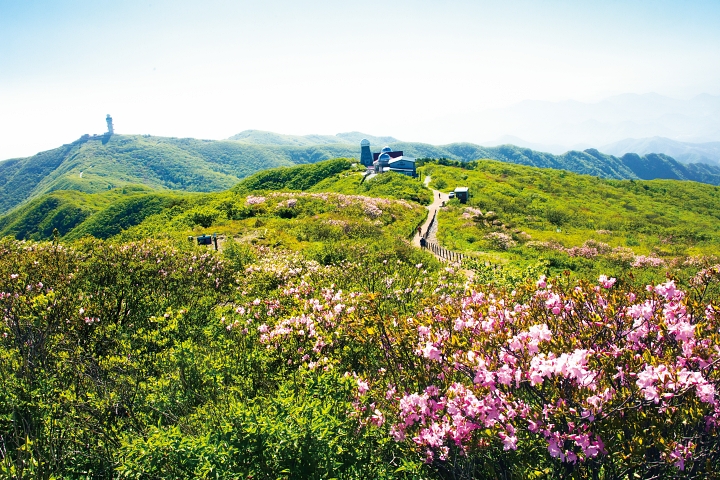 소백산 연화봉 일대. 소백산천문대, 제2연화봉의 강우레이더, 국립공원 대피소가 보인다. 죽령에서 천문대까지 임도가 있어 지구력만 있다면 초보자도 오를 수 있다. 사진 C영상미디어