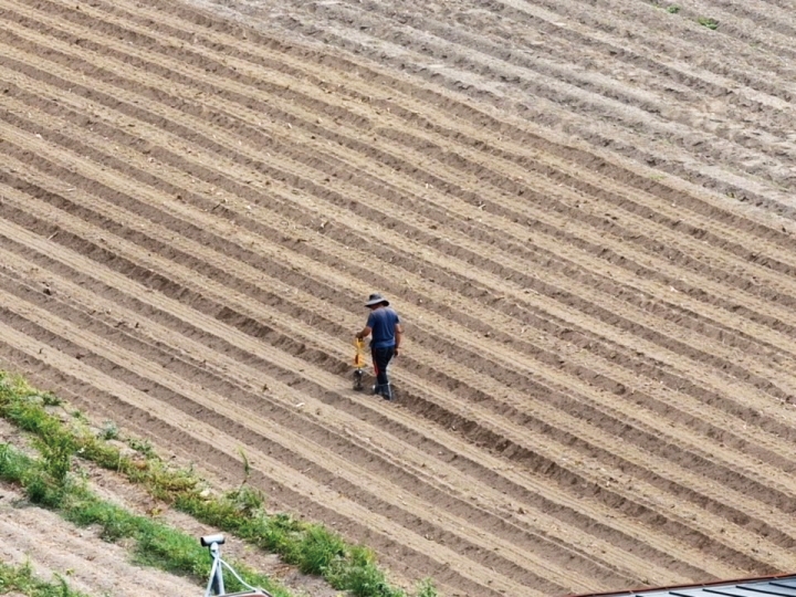 화순군 재난대응 드론예찰단이 드론을 띄워 전남광주통합특별시 화순군 도곡면의 한 밭에서 온열질환 예방을 위한 예찰 활동을 하고 있다. 사진 행정안전부