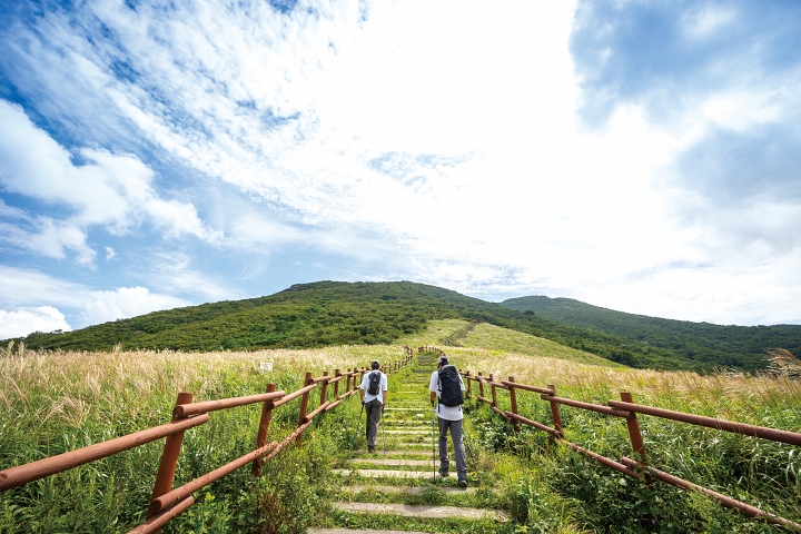 33만㎡(10만 평)에 달하는 억새 군락지인 간월재. 1000m대의 웅장한 능선이 부드러운 굴곡으로 뻗은 모습이 유럽 알프스를 닮았다 하여 &lsquo;영남알프스&rsquo;라고 한다. 사진 C영상미디어