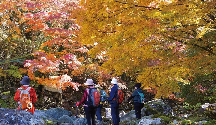 2025년 11월 14일 제주 한라산 천아계곡을 찾은 탐방객들이 단풍을 감상하고 있다. 사진 뉴시스