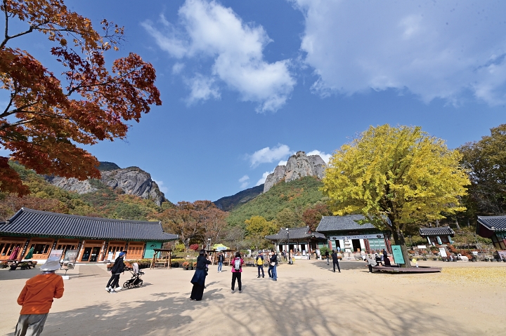2025년 11월 단풍이 한창인 경북 청송군 대전사 경내를 방문객들이 둘러보고 있다. 사진 청송군