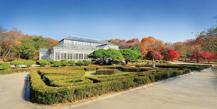 창경궁 대온실 전경. 사진 국가유산청