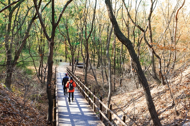 천천히 걸어야 보인다&hellip; 북한산의 또 다른 얼굴