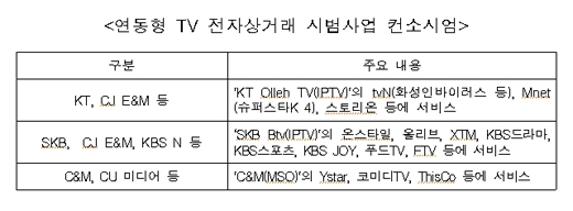 연동형 TV 전자상거래 시범사업 컨소시엄