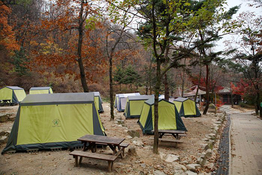 텐트와 장비를 갖추고 있는 서울대공원 자연캠프장. 