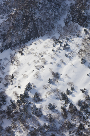 왕관릉 절벽 아래 눈꽃으로 변한 구상나무 군락.
