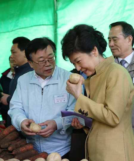 박근혜 대통령이 13일 오전 서울 양재동 농협하나로클럽을 방문, 직거래장터에서 감자를 사기에 앞서 감자냄새를 맡으며 고르고 있다. (사진=청와대)