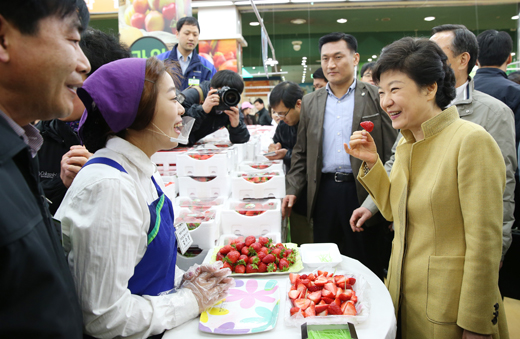 박근혜 대통령이 13일 서울 서초구 양재동 농협 하나로클럽을 방문, 과일코너에서 딸기를 시식하고 있다.