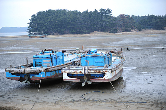 반도그릇 이미지