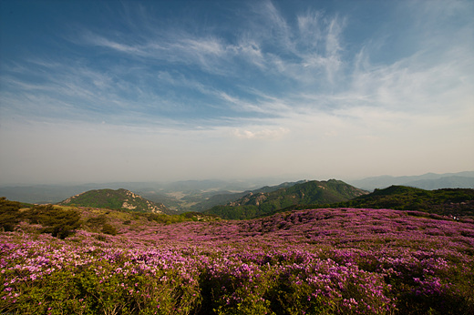 철쭉군락지에서 바라 본 전경. 오른쪽으로는 지리산이 보일 정도로 전망이 좋다.