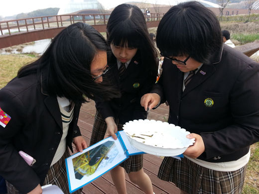 생태원을 찾은 학생들이 수서곤충을 직접 채집해 살펴보고 있다. 