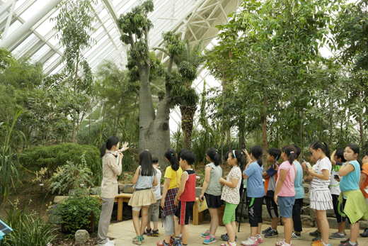 국립생태원의 생태교육 프로그램에 참가한 학생들이 해설사 선생님의 설명을 들으며 바오밥나무를 관찰하고 있다.