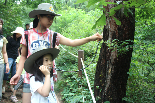북한산에서 열린 건강나누리 캠프에 참가한 어린이들이 나무와의 교감체험에 열중해 있는 모습.