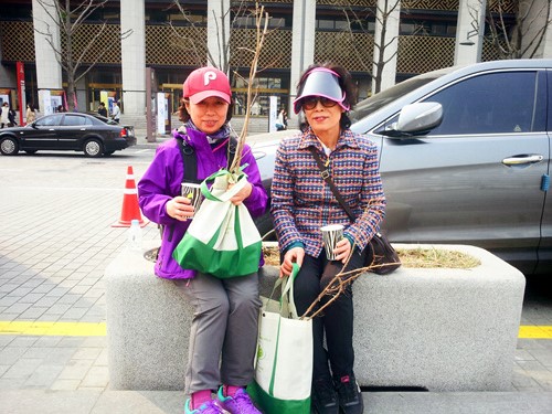 ģ  翡  ھ().