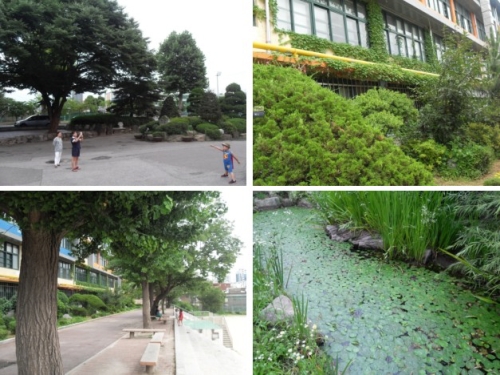 학교숲에서 한 아이가 포즈를 취하자 엄마가 이를 놓칠세라 카메라에 담고 있다. 구로초등학교 교실 외벽에는 덩굴손이 딱딱한 콘크리트 벽을 감싸고 있다. 실개천이나 연못을 조성한 곳도 있다.