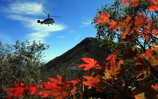 �� ���Ǽҿ��� �ʿ�� �ϴ� ���� ��ǰ ������ ���� ���������������� ���