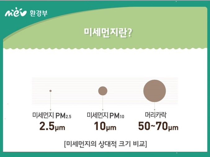머리카락 굵기와 비교한 미세먼지의 크기가 극명한 대조를 이루고 있다(제공=환경부)