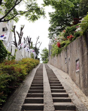 3.1만세운동길. 만세운동을 준비하던 학생들이 일본군의 감시를 피해 도심으로 모이기 위해 지나다녔던 솔밭길이다. 계단길에는 당시 모습이 담긴 사진들이 함께 전시돼 있다.