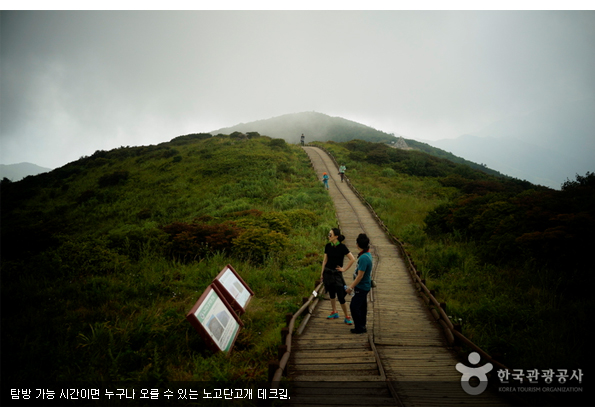 탐방 가능 시간이면 누구나 오를 수 있는 노고단고개 데크길