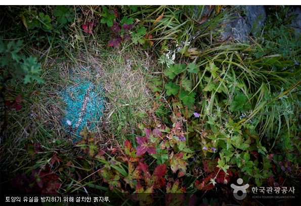 토양의 유실을 방지하기 위해 설치한 흙자루