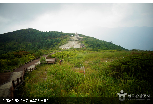 안정화 단계에 접어든 노고단의 생태계