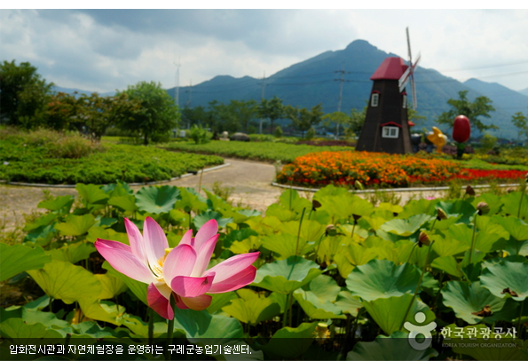 압화전시관과 자연체험장을 운영하는 구례군농업기술센터