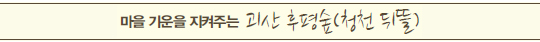 마을 기운을 지켜주는 괴산 후평숲(청천 뒤뜰)