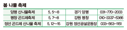 봄 나물 축제