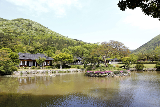 진도 운림산방(雲林山房)안에 있는 운림지. 배우 배용준과 전도연의 영화 <스캔들>의 촬영지로 유명하다.