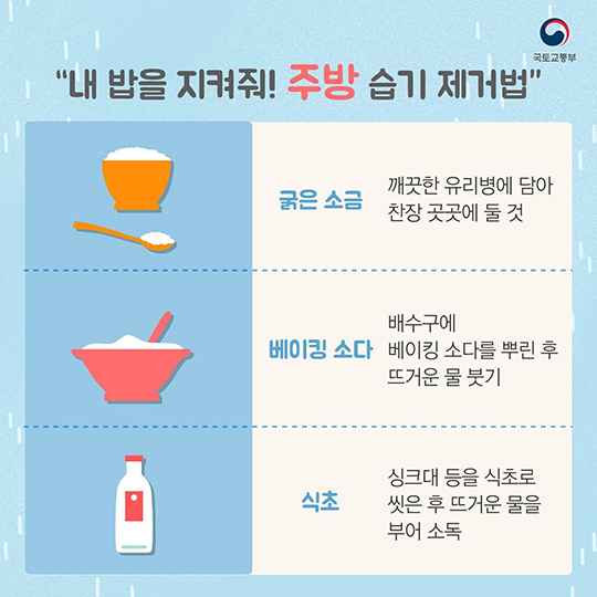 뽀송뽀송 상쾌한 집을 유지할 습기 제거법을 소개합니다!