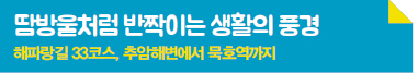 땀방울처럼 반짝이는 생활의 풍경 해파랑길 33코스, 추암해변에서 묵호역까지