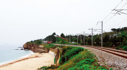 추암해변에서 묵호역에 이르는 13.3km의 해파랑길 33코스는 걷는 동안 기찻길 옆 소소한 풍경이 함께한다.