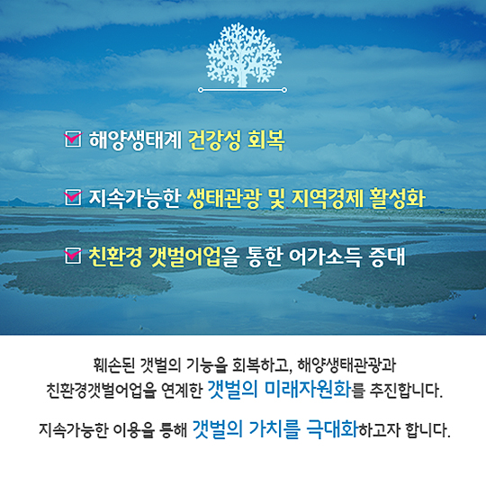 여의도 247개 만한 갯벌이 사라졌습니다