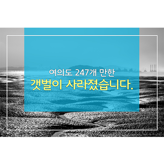 여의도 247개 만한 갯벌이 사라졌습니다