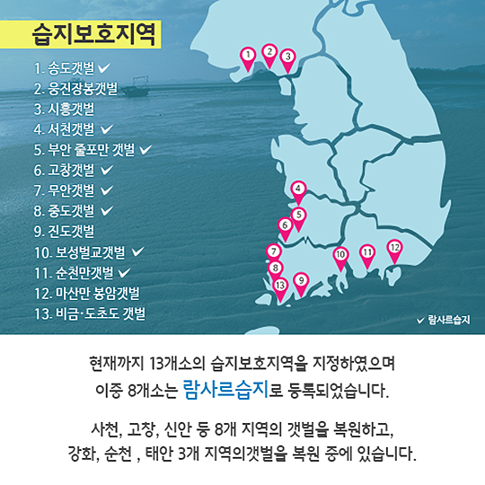 여의도 247개 만한 갯벌이 사라졌습니다