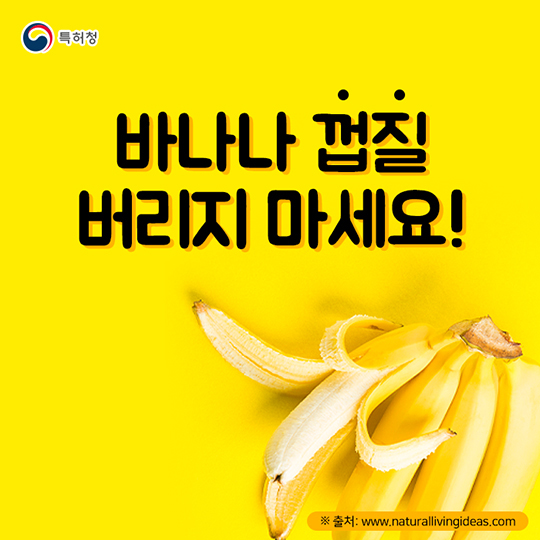 바나나 껍질 버리지 마세요!