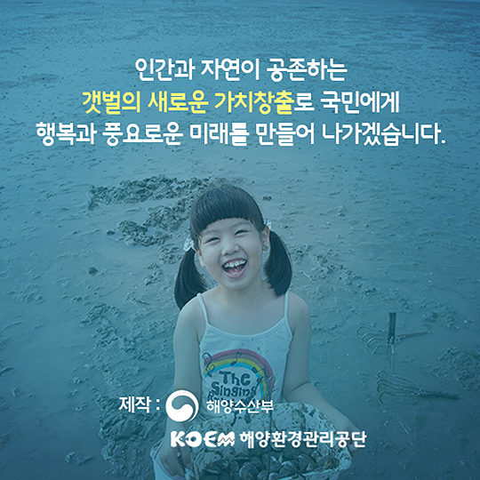 여의도 247개 만한 갯벌이 사라졌습니다