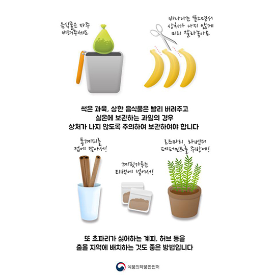 여름 불청객 초파리 내쫓는 방법