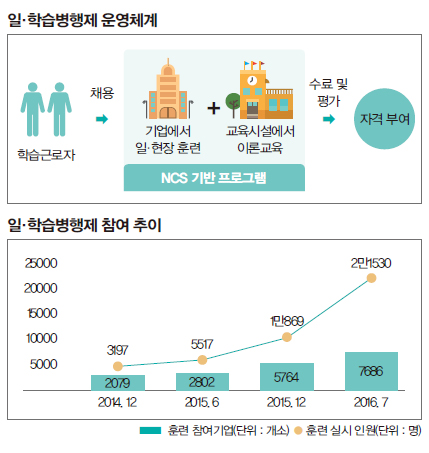 일 학습병행제 운영체계