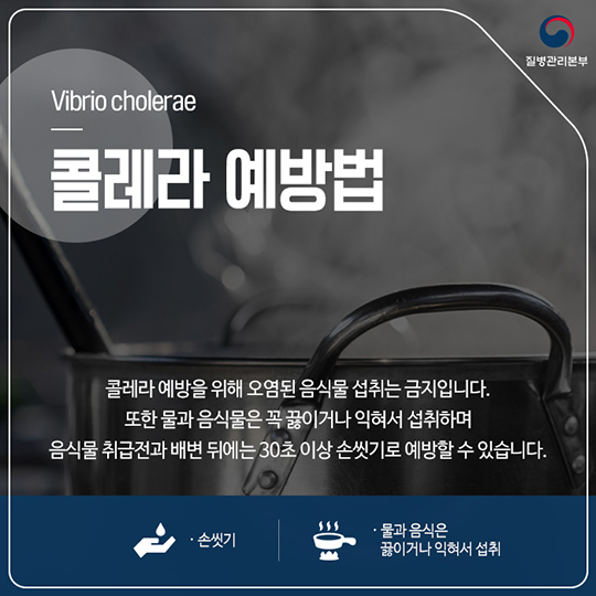 콜레라 증상 및 예방법